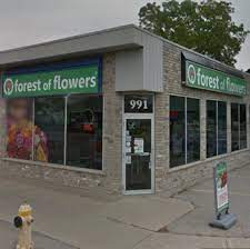 May 27, 2021 · thomas i. Forest Of Flowers St Thomas