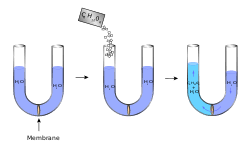 As references, we are using the following. Osmotic Pressure Wikipedia