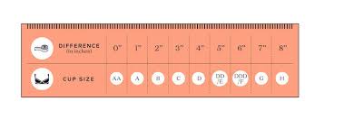 Bra Size Calculator How To Figure Out Your Cup And Band Size