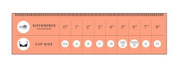 bra size calculator how to figure out your cup and band size