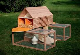Here you can find some great ideas to upgrade your chicken coop and enhance your chicken's comfort level. 5 Favorites Backyard Chicken Coops For Small Flocks Gardenista