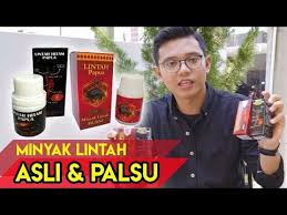 Hasil gambar untuk minyak lintah papua asli