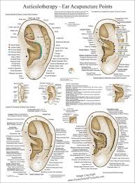 Pin On Acupuntura