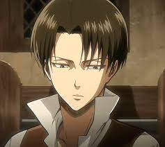 The Duck02 Levi Ackerman Attack On Titan Levi Captain Levi