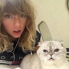 Guide to Taylor Swift's Cats — Meredith, Olivia and Benjamin
