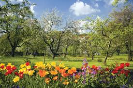 Well, what do you know? Interesting Spring Facts And Trivia Funfactoday Com