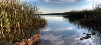 Check out koa's 25+ locations in texas! 25 Best Campgrounds Within Two Hours Of Dallas Tx 50 Campfires