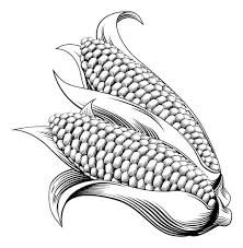 Maybe you would like to learn more about one of these? Desain Vektor Jagung Yang Digambar Tangan Eps Uidownload