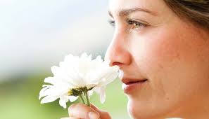 Big City Skills, Small Town Care