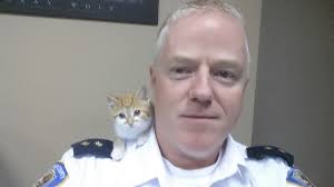 Vote for Kevin & Steven