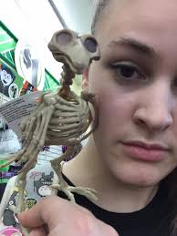 Why is my bird making noise and not eating?