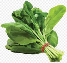 Photokabalfalah mewarnai gambar sayur kangkung. Bayam Saag Sayuran Gambar Png