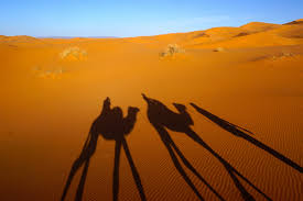 How to buy fares, where to buy fares. How To Get From Marrakesh To Merzouga The Sahara Desert
