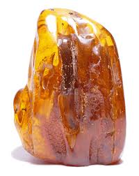 Image result for Amber