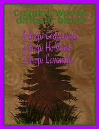 Calming Woods Diffuser Blend Cedarwood Ho Wood Lavandin Essential Oils Essential Oil Perfume Essential Oil Diffuser Recipes Essential Oils Work