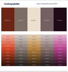 Colours that go well with brown tone combination palettes. 480 Latest Color Schemes With Saddle Brown And Beige Color Tone Combinations 2021 Icolorpalette