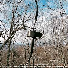 Resultado de imagem para antenna slim jim