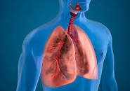 Image result for lung people