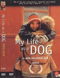 My Life As A Dog (1985) Lasse Hallström / Anton Glanzelius DVD NEW *SAME  DAY SH | eBay
