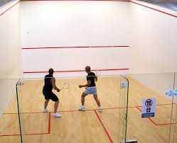 Squash Player Definition And Synonyms Of Squash Player In The English Dictionary