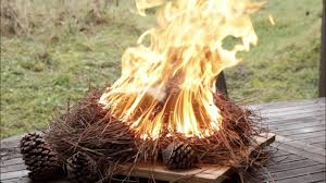 Elles sont cuites sur le feu et arrosées d'une. L Eclade De Moules Made In Lorraine Youtube