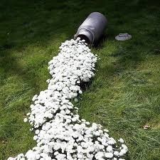 Une Berthe A Lait Pour Terminer Une Superbe Decoration Florale Dans Le Jardin A Milk Jug To Sublimate A Floral Idees Jardin Parterre De Fleurs Jardins