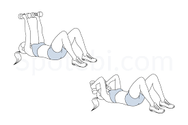 Lying Tricep Extension Illustrated Exercise Guide