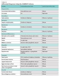 The Practitioners Guide To Neurologic Causes Of Canine