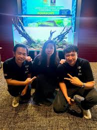 Image result for Eriocaulon bongense