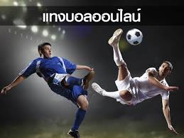 UK Rec Scuba Blog: Ufabet Popular Online Gambling Features