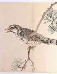 Oiseau sur une branche de pin, encre et couleurs sur papier, Japon