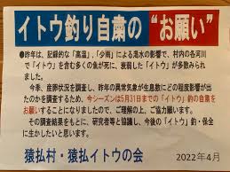 猿払 イトウ の 会