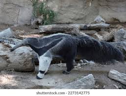 Portofolio Foto & Gambar Stok dari Mae Murdock