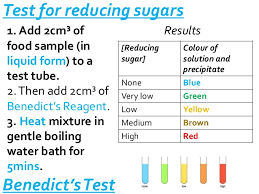 test for reducing sugars benedicts test essay college paper