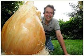 Elles ne doivent pas s'écraser. Les 10 Plus Gros Fruits Et Legumes Du Monde