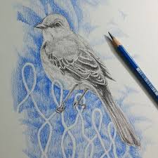 Bew Wanchai On Instagram Mocking Bird Drawing Draw Mockingbird Art Sketch Pencil Pencilcolor Paper Traditional Bird Drawings Drawings Nature Sketch