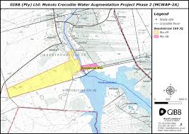 Image result for Ptycholobium plicatum