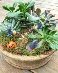 Here are three tips for incorporating scented plants in a landscape: Design Ideas For Arranging Indoor Plants Triangle Gardener Magazine