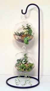 Pin By Oimm Abenk On Rak Pot Bunga In 2020 Diy Succulent Terrarium Hanging Succulents Succulent Terrarium