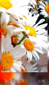 Get a custom full name video here! Download Free Picture Bouquet Large Daisies Happy Birthday Card On Cc By License Free Image Stock Torange Biz Fx 92478