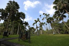 Palem kerap dipilih sebagai tanaman di pekarangan rumah. Lowongan Kerja Di Carrefour Taman Palem Rumah Dijual Taman Palem Cengkareng Lowongan Kerja Bank Bumn Cpns Dan Seluruh Perusahaan Yang Ada Di Indonesia Oktober 2020