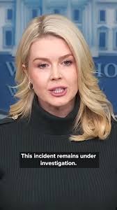 MOUNTAIN LION VIDEO: Thanks to Tammy Perrault for sending in a video of  mountain lions her son Ethan saw while hunting outside Deer Lodge earlier  this week. #montana #nbcmontana #video #outside #hunting #