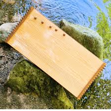 Image result for Monodora minor