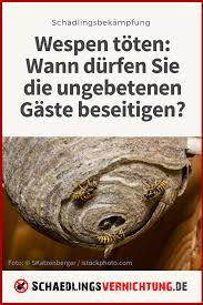 Wespen Toten Ist Das Erlaubt Die Inhalte Unseres Artikels Wespenarten In Deutschland Wespen Erkennen Richtig U Schadlingsbekampfung Insekten Schadlinge