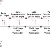 Utility of nasal swabs for assessing mucosal immune ...