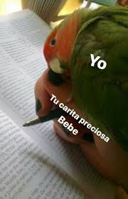 Me Traes Loca Mi Flaquito Cosas De Novio Frases Frases Perronas