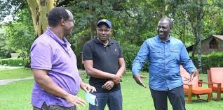 Thousands of acres across the country. Ruto Kibaki Era Economists Agree On 2022 Power Plan
