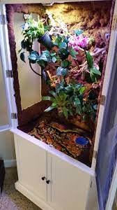 If you have a smaller female chameleon than you can purchase an 18 width and depth and a 36 height enclosure. 37 Best Diy Chameleon Enclosure Vivarium Ideas Chameleon Enclosure Chameleon Cage Vivarium