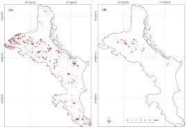 Image result for Costularia natalensis