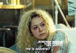 The series stars tatiana maslany. Brother Sestra Omg So Cute Orphan Black Orphan Black Tv